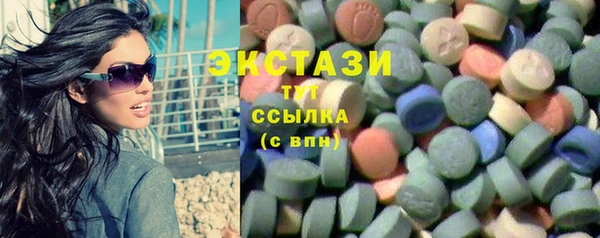 индика Няндома