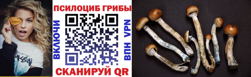 Галлюциногенные грибы GOLDEN TEACHER Белый