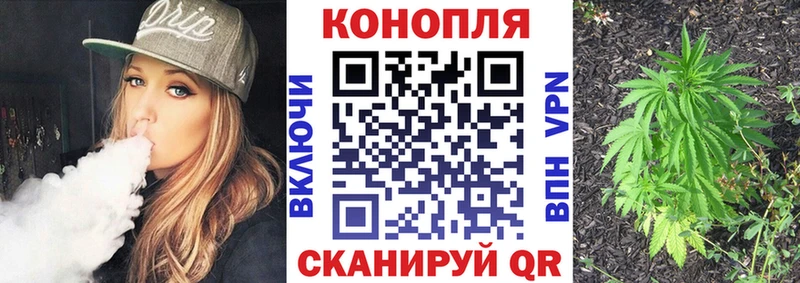 где найти наркотики  Белый  Каннабис семена 